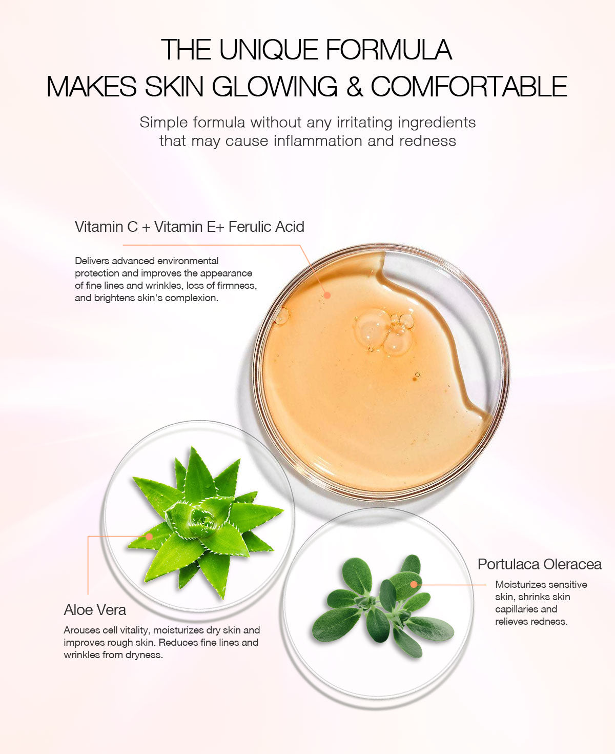 Vitamin C Brightening & Glow Body Lotion (With Ferulic Acid) - 400ml