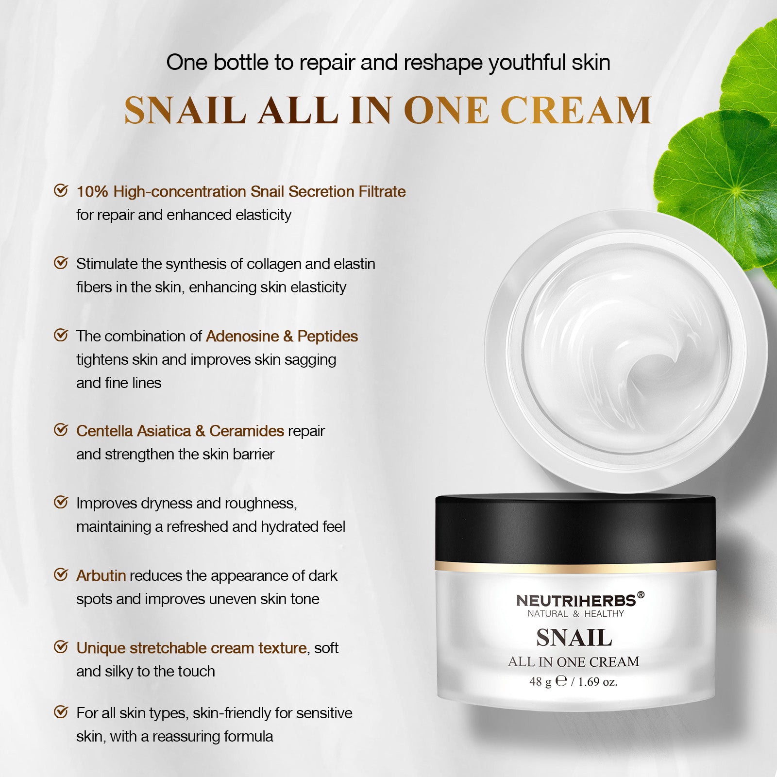 Snail All In One Cream - 48g